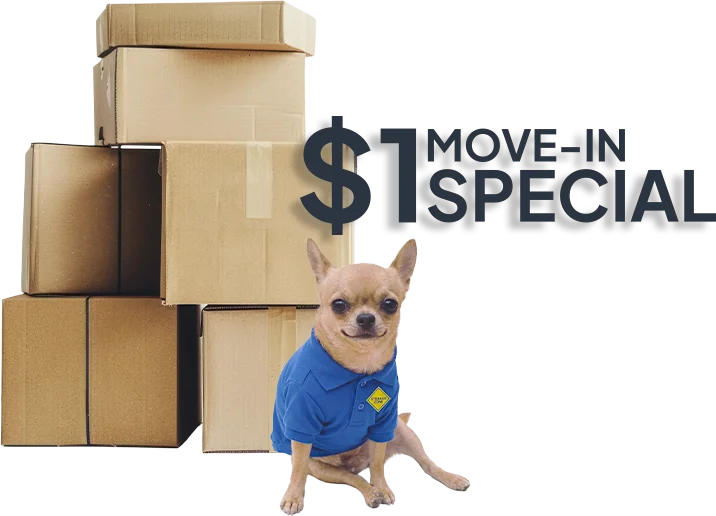 $1 move-in special